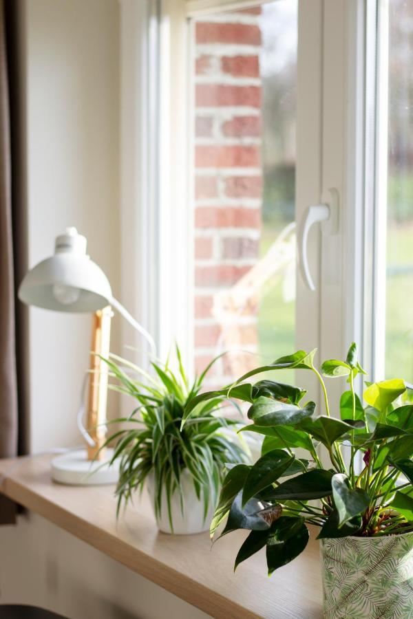 Bed and Breakfast Op D'N Stolberg Weert Exterior foto
